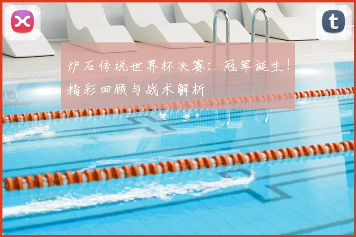 炉石传说世界杯决赛:冠军诞生!精彩回顾与战术解析