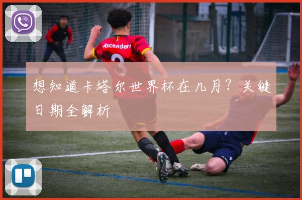想知道卡塔尔世界杯在几月?关键日期全解析