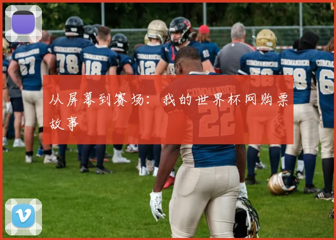 从屏幕到赛场：我的世界杯网购票故事
