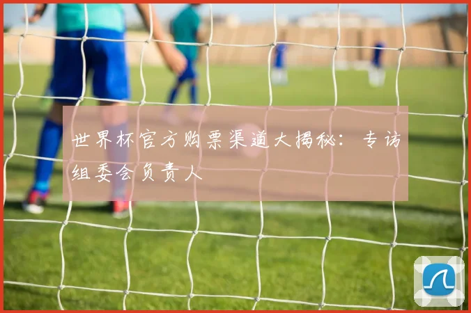 世界杯官方购票渠道大揭秘:专访组委会负责人