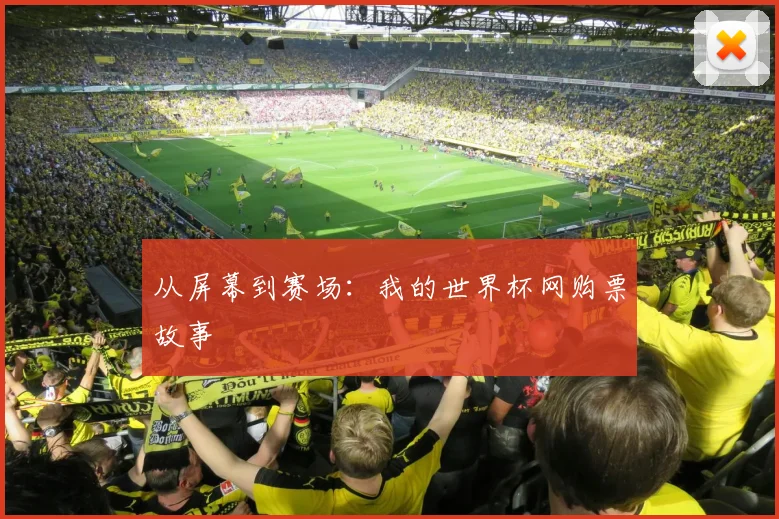 从屏幕到赛场：我的世界杯网购票故事