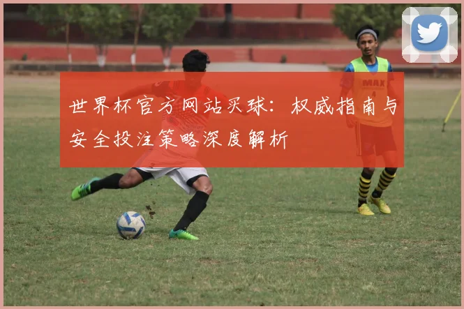 世界杯官方网站买球:权威指南与安全投注策略深度解析