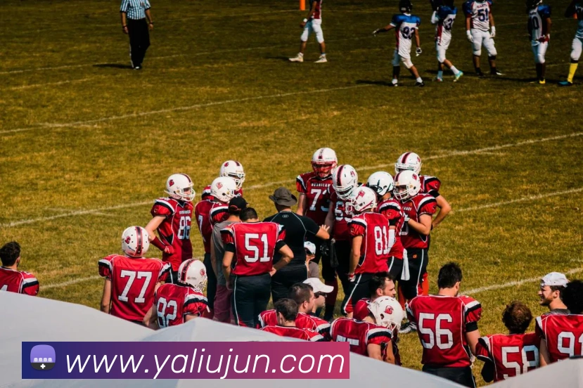 leyu乐鱼在线体育APP 高清赛事图